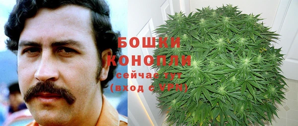ешки Богданович